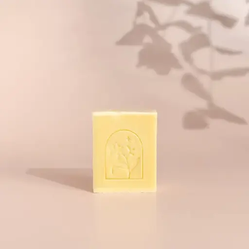 Savon Le Tout-Nu